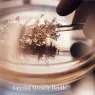 genaissance_de_la_mertm_the_infused_lotion_5_WdGS4yrZ5F.webp