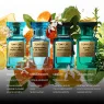 mandarino_di_amalfi_eau_de_parfum_50ml_4_L7xvGtZKvC.webp