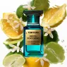 neroli_portofino_eau_de_parfum_50ml_2_h87W6yqNWd.webp