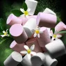 princess-set (4).webp