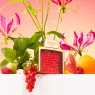 rubeus_rouge_7_GhdTJm3tKR.webp