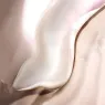 the_hydrating_illuminator_5_MWlG7v7jKo.webp