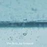 the_micro_peel_5_TVX7IpGayZ.webp