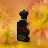 vii_queen_anne_cosmos_flower_50ml_5_l0LLDIHdXk.webp